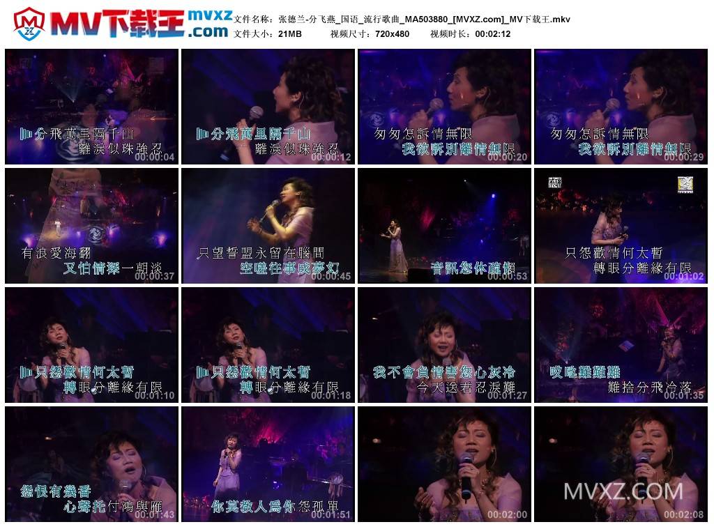 张德兰-分飞燕_国语_流行歌曲_MA503880
